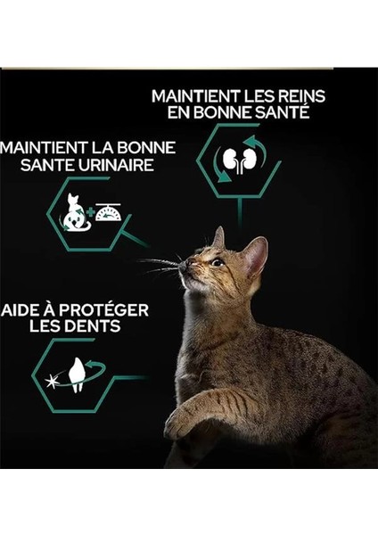 Sterilised Hindili Kuru Kedi Maması 10 kg Standart fırsatları