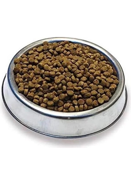 Premium Yetişkin Kedi Maması Somonlu 10 kg - Hipoalerjenik, Tüy Dökülmesini Azaltan, Kolay