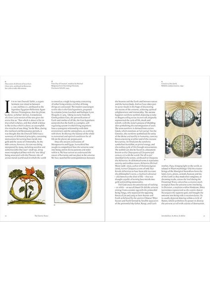 The Cosmic Dance: Finding Patterns And Pathways In A Chaotic Universe fiyatları