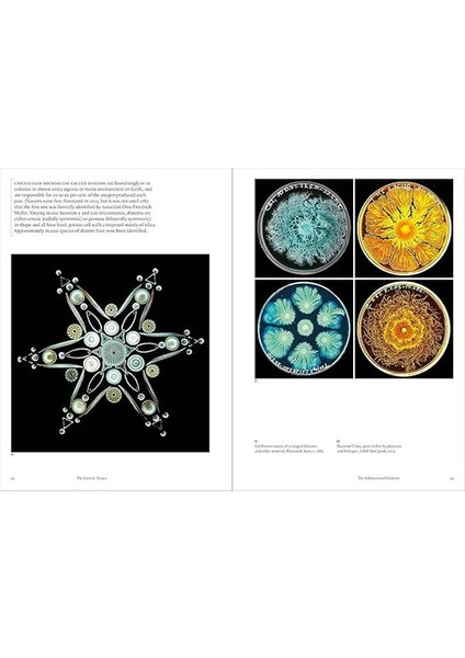 The Cosmic Dance: Finding Patterns And Pathways In A Chaotic Universe indirimleri