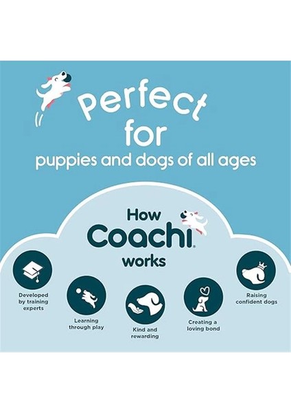 Company Of Animals Coachi Training Dumbbell, Yüzer, Geniş Atma, Klasik Alım Oyuncağı, Av Köpeği ve