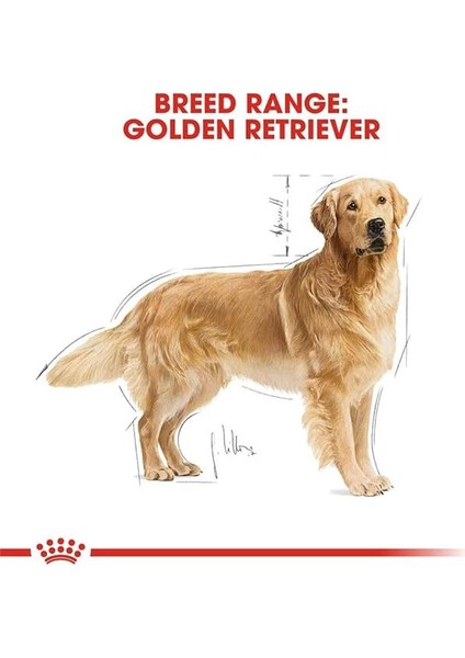 Golden Retriever Kuru Köpek Maması, Yetişkin, 12 kg indirimleri