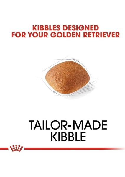 Golden Retriever Kuru Köpek Maması, Yetişkin, 12 kg