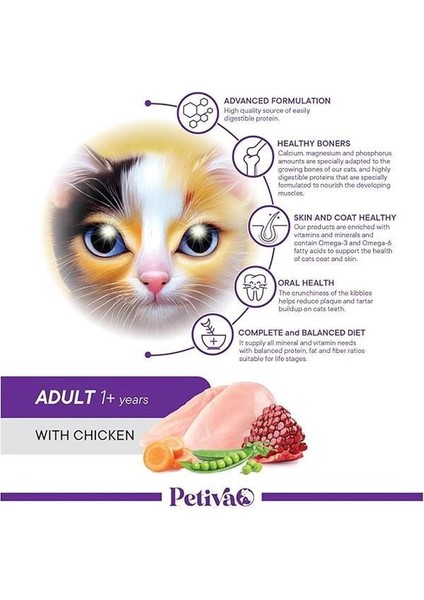 Yetişkin Kediler Için Tavuk Etli Kuru Kedi Maması (7 Kg, Tavuk) modelleri