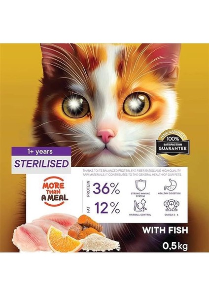 Kısırlaştırılmış Yetişkin Kediler Için Balık Etli Kuru Kedi Maması (500 Gram, Balık) modelleri