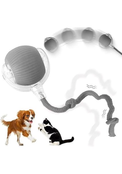 Akıllı Kedi Oyuncağı, Otomatik Yuvarlanan Interaktif Top, Hareketli Kuyruk, USB Şarjlı, LED
