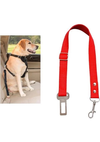 Köpek,kedi Araç Emniyet Kemeri Tasması (Kırmızı)