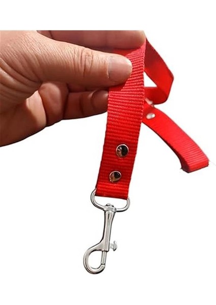 Köpek,kedi Araç Emniyet Kemeri Tasması (Kırmızı)