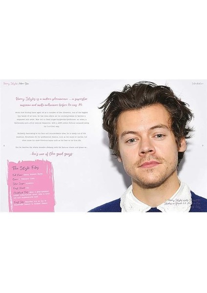 Harry Styles: Adore You: The Illustrated Biography