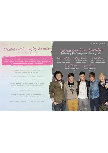 Harry Styles: Adore You: The Illustrated Biography fiyatları