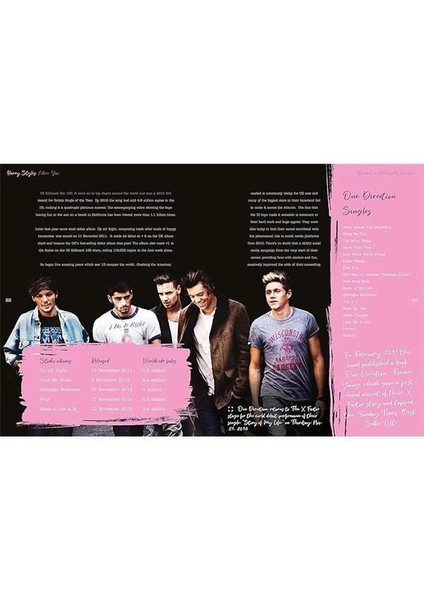 Harry Styles: Adore You: The Illustrated Biography modelleri