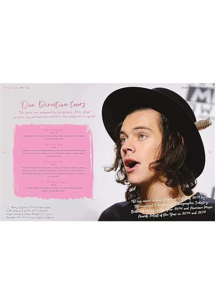 Harry Styles: Adore You: The Illustrated Biography fırsatları