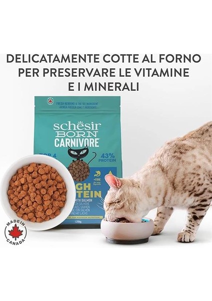 Born Carnivore Somonlu ve Ringa Balıklı Yetişkin Kedi Maması 1,25KG
