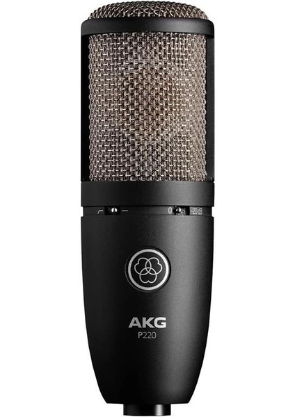 P220 Geniş Diyaframlı Stüdyo Kaayıt Mikrofonu fırsatları