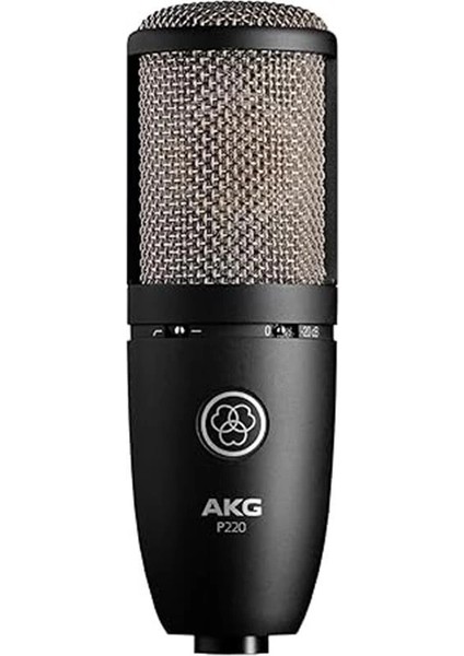P220 Geniş Diyaframlı Stüdyo Kaayıt Mikrofonu