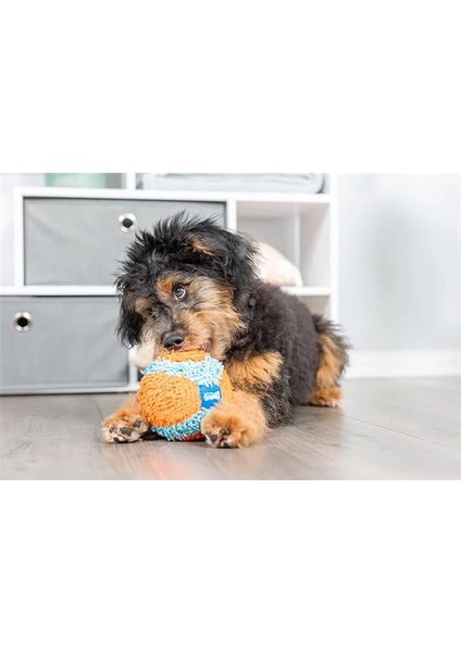 ! Indoor Ball Eve Özel Yumuşak Oyun Topu - Köpekler Için Iç Mekan Getirme Topu fiyatları