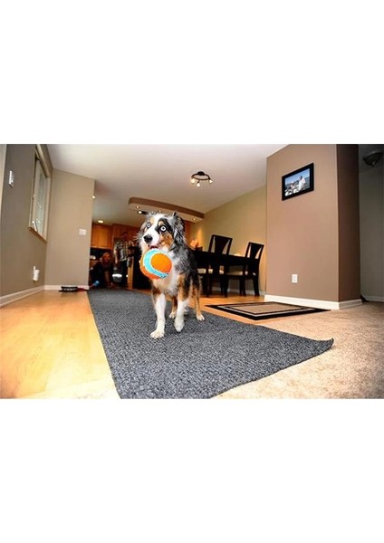 ! Indoor Ball Eve Özel Yumuşak Oyun Topu - Köpekler Için Iç Mekan Getirme Topu indirimleri