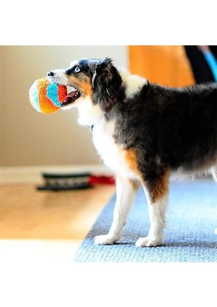 ! Indoor Ball Eve Özel Yumuşak Oyun Topu - Köpekler Için Iç Mekan Getirme Topu