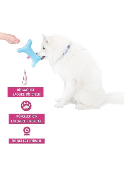 Köpek Oyuncağı Dörtlü Toplu Çekiştirmeli Halat - Şişe Peluş Kemik Köpek Eğitim Oyuncağı - indirimleri