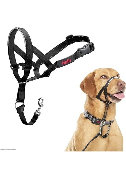 Haltı Baş Koşumu, Beden 3, Siyah - Köpeğinizin Tasma Çekmesini Önler, Kolay Ayarlanabilir, Hafif