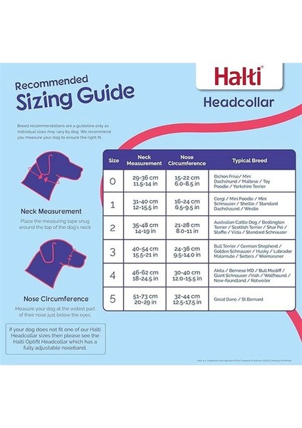 Haltı Baş Koşumu, Beden 3, Siyah - Köpeğinizin Tasma Çekmesini Önler, Kolay Ayarlanabilir, Hafif modelleri