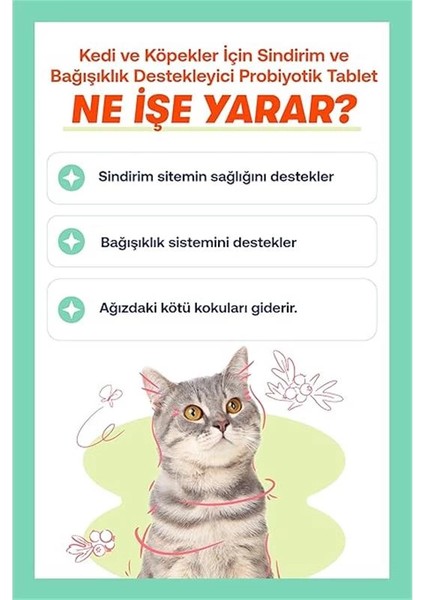 Tablet Probiyotik Kedi ve Köpek 25 Tablet fırsatları