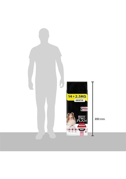 Medium Somonlu Kuru Köpek Maması, Yetişkin, 14 kg + 2.5 kg Hediye fırsatları