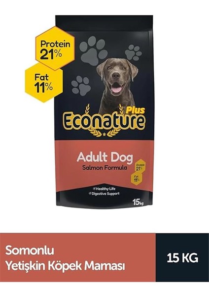 Plus Yetişkin Köpek Mamasi Somonlu 15 kg fiyatları