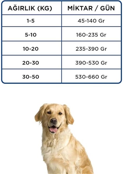 Plus Yetişkin Köpek Mamasi Somonlu 15 kg fırsatları