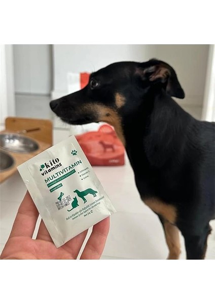 Kedi ve Köpekler Için Multivitamin Bağışıklık Sistemi Destekleyici 2g x 15 Saşe indirimleri