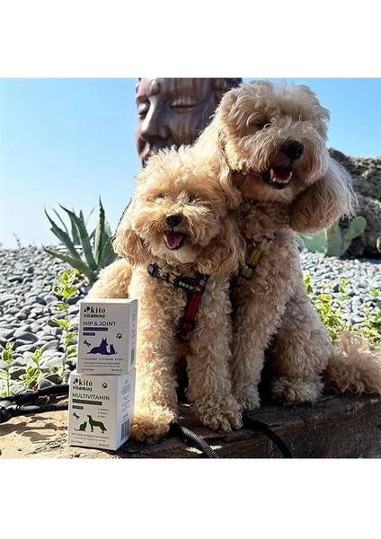 Kedi ve Köpekler Için Multivitamin Bağışıklık Sistemi Destekleyici 2g x 15 Saşe