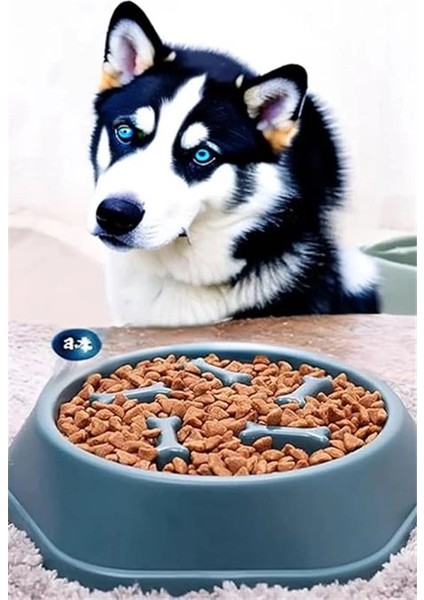 Köpek Mama Kabı Yavaş Besleyici, Anti-Boğulma Obezite Önleyici Gıda Dağıtıcı (Yeşil) fiyatları