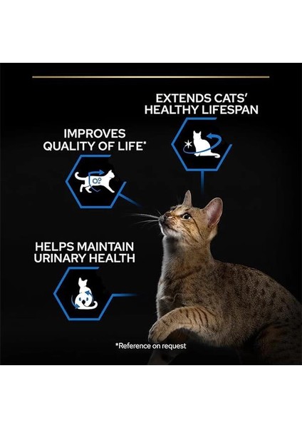 Senior Hindili Kuru Kısırlaştırılmış Kedi Maması 3 kg