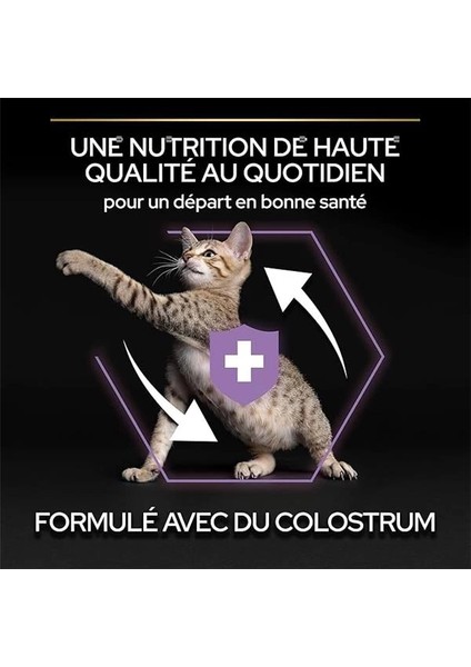 Original Tavuklu Kuru Yavru Kedi Maması 10 kg indirimleri