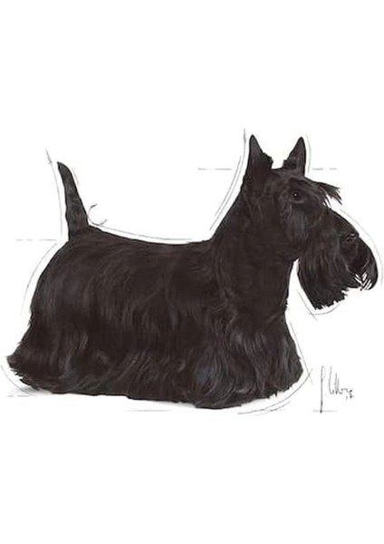 Dermacomfort Loaf Yetişkin Köpek Maması 85 gr x 12 Adet indirimleri