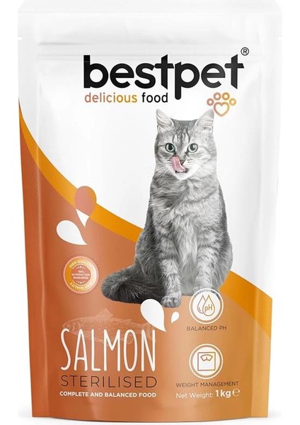 Kısırlaştırılmış Kediler Için Somon Balıklı Kuru Mama, 1 kg