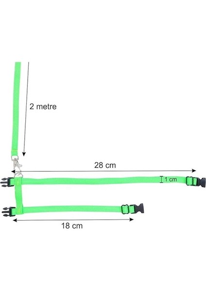 X-Perk Kemirgen Gezdirme Tasması Gine Domuzu Tavşan Gezdirme Tasması Kordon Boyu 2 Metre fiyatları