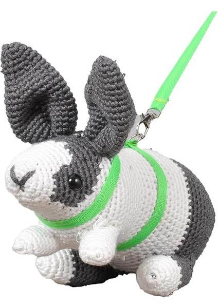 X-Perk Kemirgen Gezdirme Tasması Gine Domuzu Tavşan Gezdirme Tasması Kordon Boyu 2 Metre modelleri