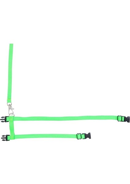 X-Perk Kemirgen Gezdirme Tasması Gine Domuzu Tavşan Gezdirme Tasması Kordon Boyu 2 Metre fırsatları