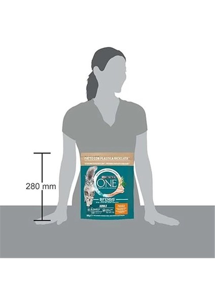 Tavuklu Yetişkin Kedi Maması 800GR