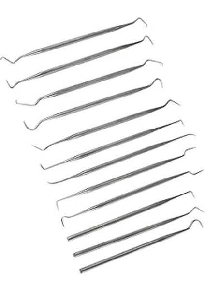 59136 12 Pc Stainless Steel Probe Set