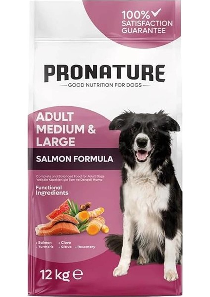 Derma Shine Somonlu ve Pirinçli Yetişkin Köpek Maması 12 kg