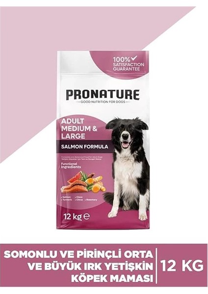 Derma Shine Somonlu ve Pirinçli Yetişkin Köpek Maması 12 kg fiyatları