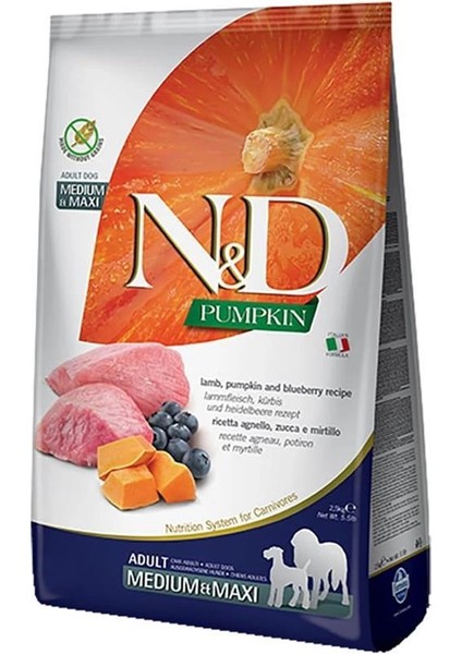 N&d Pumpkin Kuzu Etli Balkabaklı ve Yaban Mersinli 12 kg Orta ve Büyük Irk Yetişkin Köpek Maması