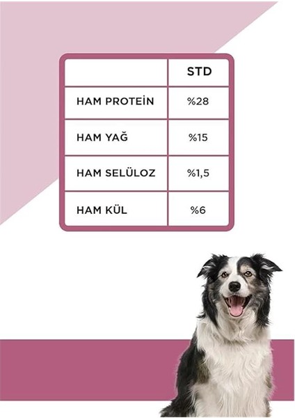 Derma Shine Somonlu ve Pirinçli Yetişkin Köpek Maması 12 kg modelleri