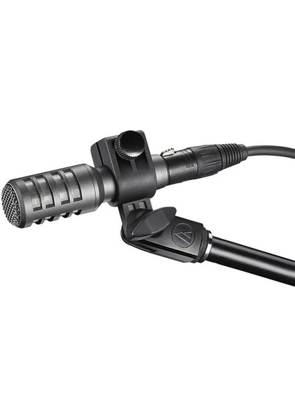 Audio-Technica AE2300 Kardioid Dinamik Enstrüman Mikrofonu fiyatları