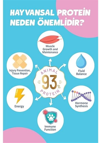 Kitten Yavru Tavuklu Süper Premium Kedi Maması 1,5 kg - Hipoalerjenik - Düşük Tahıllı - Yüksek fiyatları