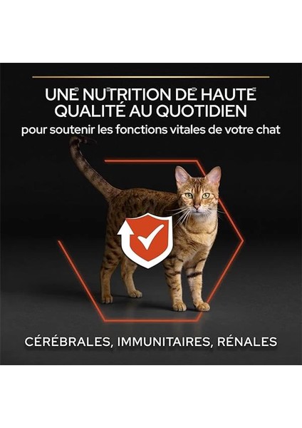 Somonlu Yetişkin Kedi Maması 1.5 kg fırsatları