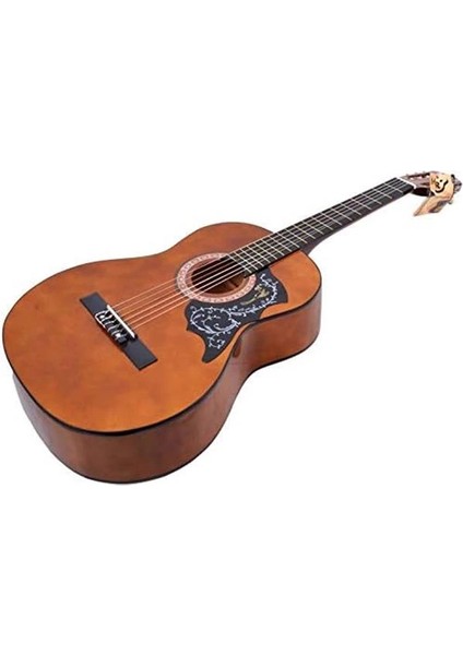 Gitar Pena Korumalığı PG150 Pick Guard