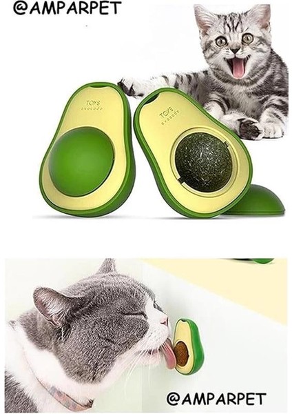 Amparpet Avokado Catnip Avokado Kedi Çimi Topu Avokado Kedi Nanesi Oyuncağı